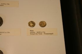 IMG_8513.JPG