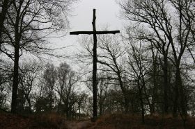 IMG_8444.JPG